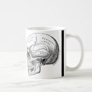 Taza De Café Café del cráneo/taza del té