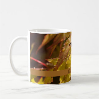 Taza De Café Café japonés moderno de arce