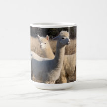 Café Mug - Alpacas Abby & Bailey