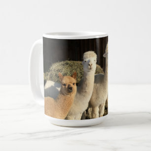 Taza De Café Café Mug - Alpacas al sol de invierno
