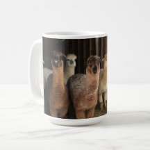 Café Mug - Alpacas en la Nieve