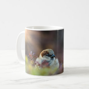 Taza De Café Café Mug De La Finca Del Baño Del Sol
