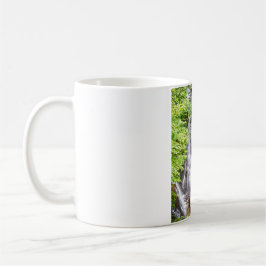 Taza De Café Caídas de Soco