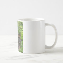 Taza De Café Caídas de Soco