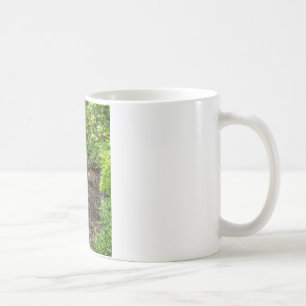 Taza De Café Caídas de Soco