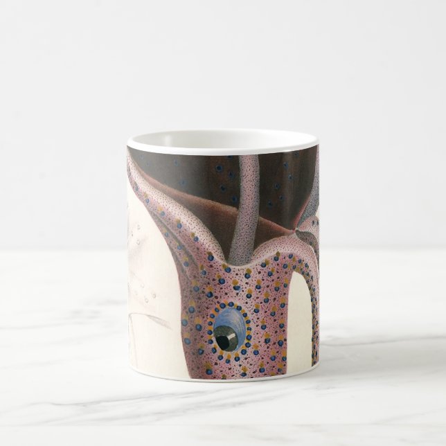 Taza De Café Calamar paraguas, animales de la vida marina vinta (Centro)