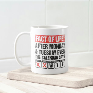 Taza De Café Calendario de Hechos de la Vida Dice Humor WTF