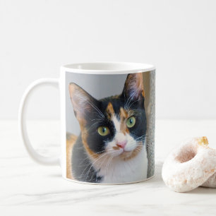 Taza De Café Calico Cat