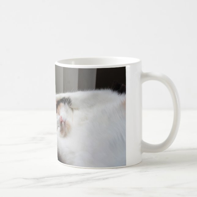 Taza De Café Calico durmiendo en el sol (Derecha)
