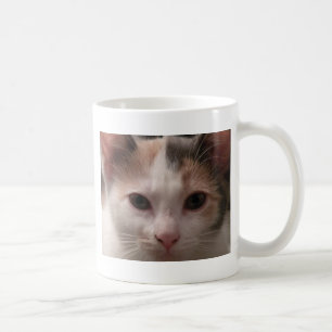 Taza De Café Calico kitten mug