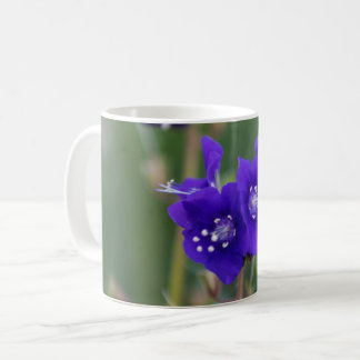 Taza De Café California Bluebell