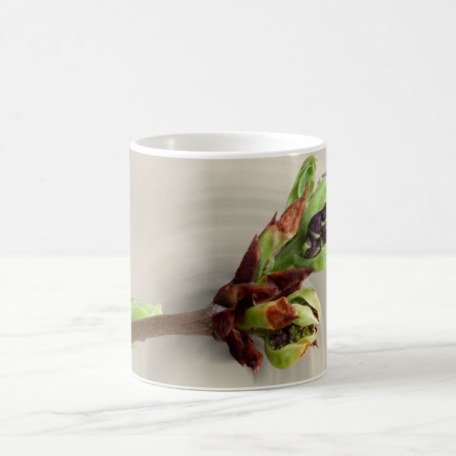 Taza De Café calor de primavera (Centro)