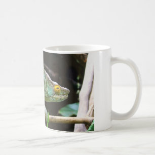 Taza De Café Calumma Parsonii