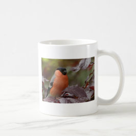 Taza De Café Camachuelo común