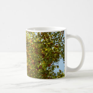 Taza De Café Cambiante color de otoño verde y dorado del arce