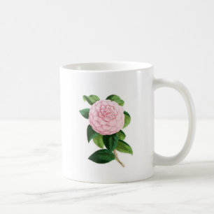 Taza De Café Camelia, Duchesse De Nassau