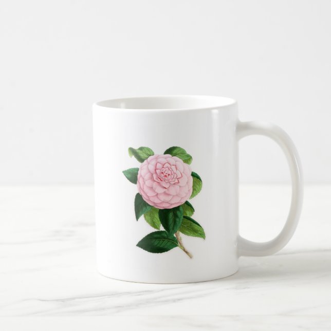 Taza De Café Camelia, Duchesse De Nassau (Derecha)