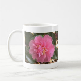 Taza De Café Camellia rosa