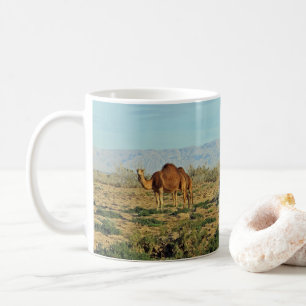 Taza De Café Camellos, Túnez