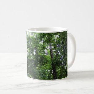 Taza De Café Caminando por el bosque, Chester, Carolina del Sur