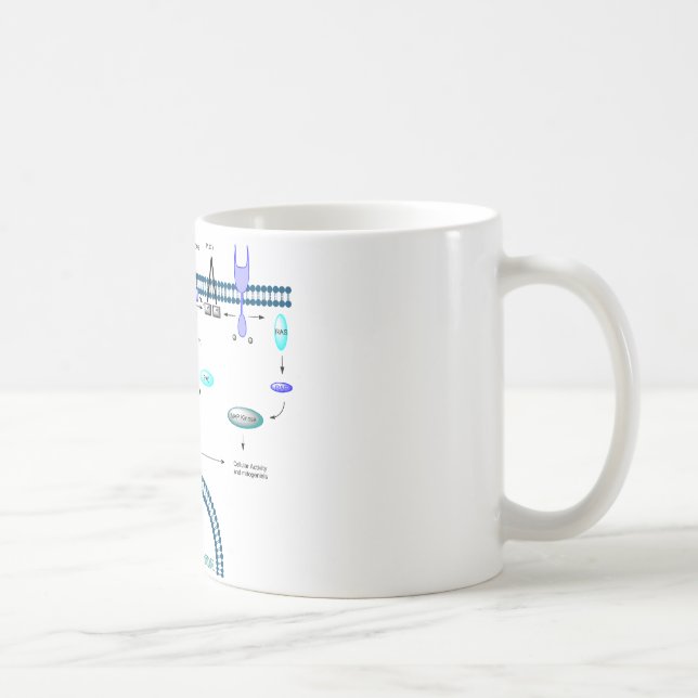 Taza De Café Camino de GPCR (Derecha)
