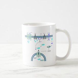Taza De Café Camino de GPCR