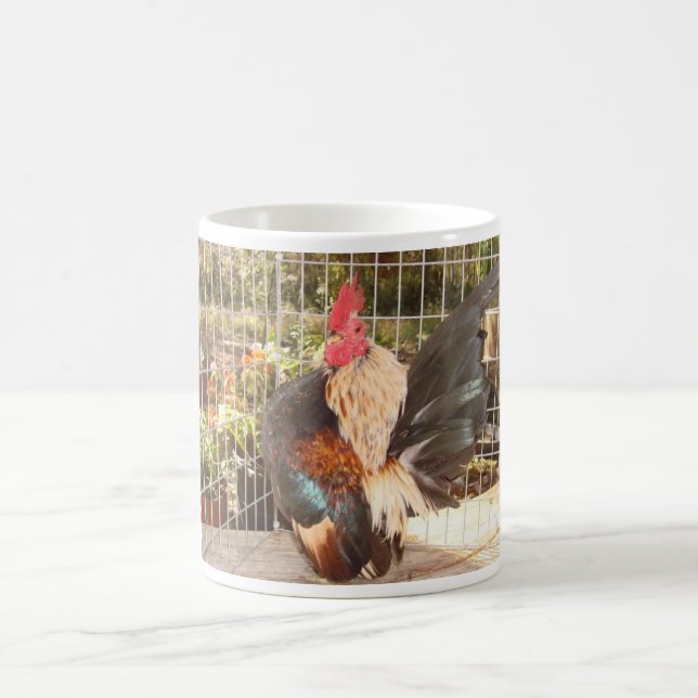 Taza De Café Campeón del nacional de Mug-2007 SCNA (Centro)