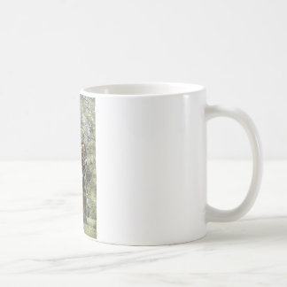 Taza De Café Campo a través