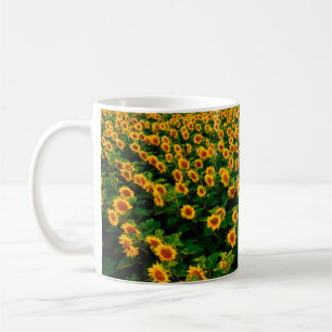 Taza De Café Campo con girasoles amarillos brillantes en días s
