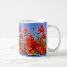 Taza De Café Campo de adormidera colorida