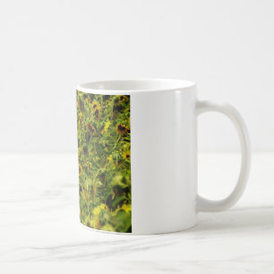 Taza De Café Campo de girasol