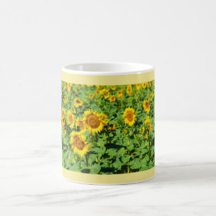 Taza De Café Campo de girasoles