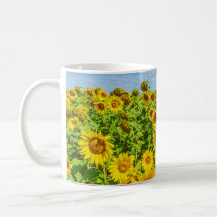 Taza De Café Campo de girasoles, día soleado de verano.