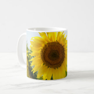 Taza de café - Campo de hermosos girasoles