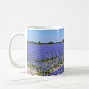 Taza De Café Campo de jacintos