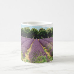 Taza De Café Campo de la lavanda - Drome Provencal, Francia