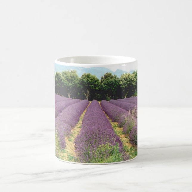 Taza De Café Campo de la lavanda - Drome Provencal, Francia (Centro)