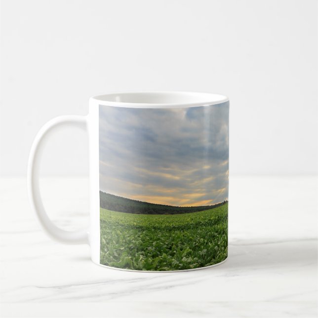 Taza De Café Campo de la remolacha en la puesta del sol (Izquierda)
