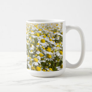 Taza De Café Campo de manzanilla, Hungría