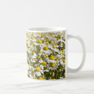 Taza De Café Campo de manzanilla, Hungría