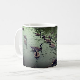 Taza De Café Canadiense Geese & Mallard Ducks Mug