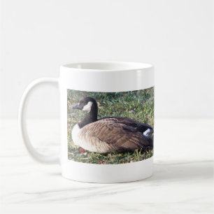 Taza De Café Canadiense Goose Photo Mug
