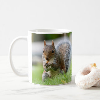 Taza De Café Canción de ardilla - ardilla gris adorable