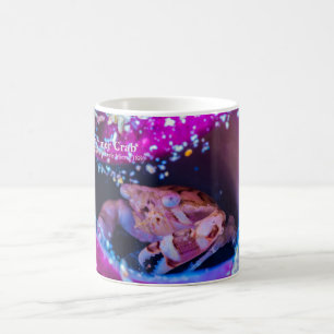Taza De Café Cangrejo de baño (Lissocarcinus laevis Miers, 1886