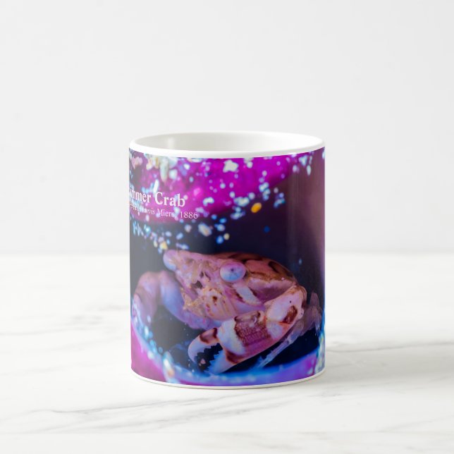 Taza De Café Cangrejo de baño (Lissocarcinus laevis Miers, 1886 (Centro)