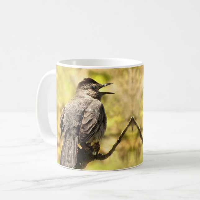 Taza De Café Cantando Gray Catbirds Mug (Anverso izquierdo)