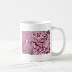 Taza De Café Capas pastel de rosa de flor de cerezo Sakura