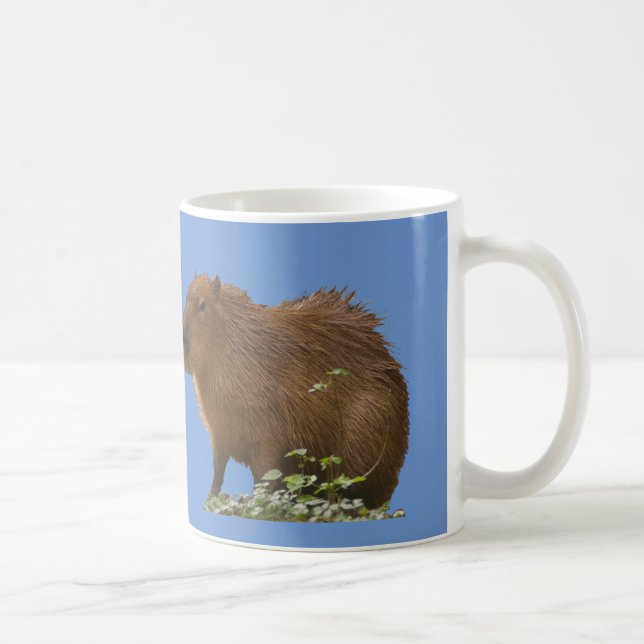 Taza De Café Capibara (Derecha)