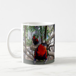 Taza De Café Cara Cheeky Rainbow Lorikeet,