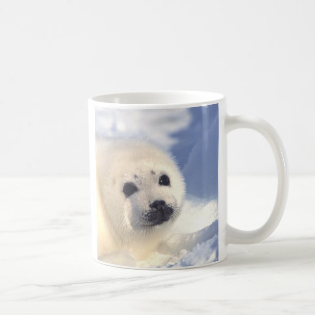 Taza De Café Cara de cría de foca (Derecha)